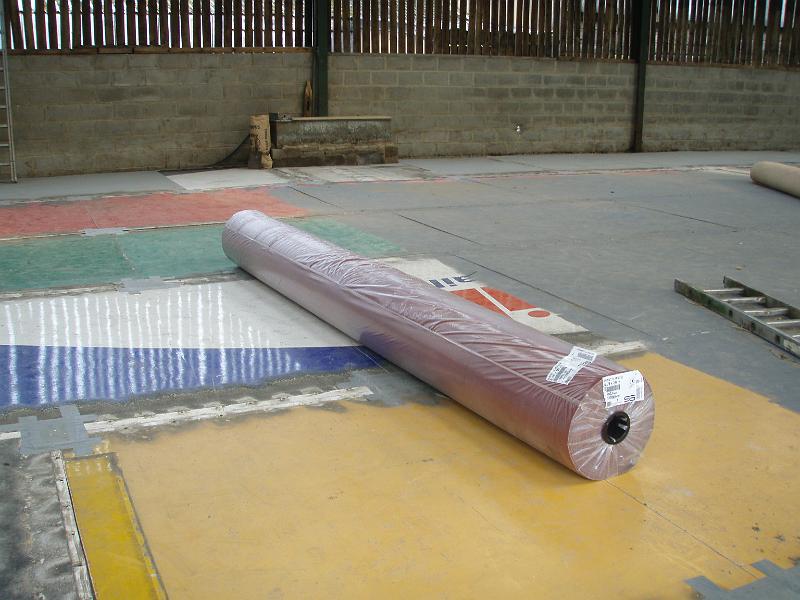 Budget carpet arrived.jpg